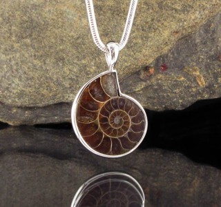 Ammonite Pendant Lge