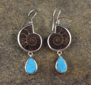Ammonite & Arizona Turquoise Earrings