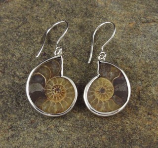 Ammonite Earrings