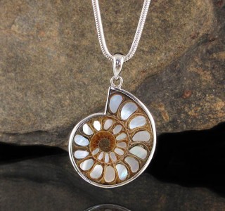 Ammonite with Mother of Pearl Inlay Pdt Lge