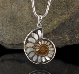 Ammonite with Mother of Pearl Inlay Pdt Lge