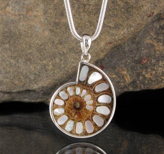 Ammonite with Mother of Pearl Inlay Pdt Lge