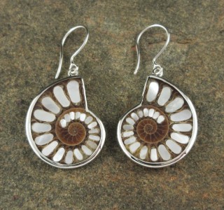 Ammonite with Mother of Pearl Inlay Earrings