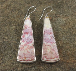 Ocean Jasper Earrings
