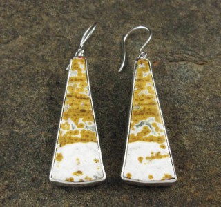 Ocean Jasper Earrings